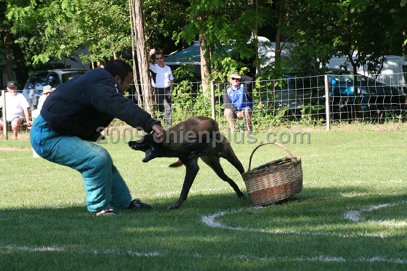 Twisty des Loups Mutins (6).jpg
